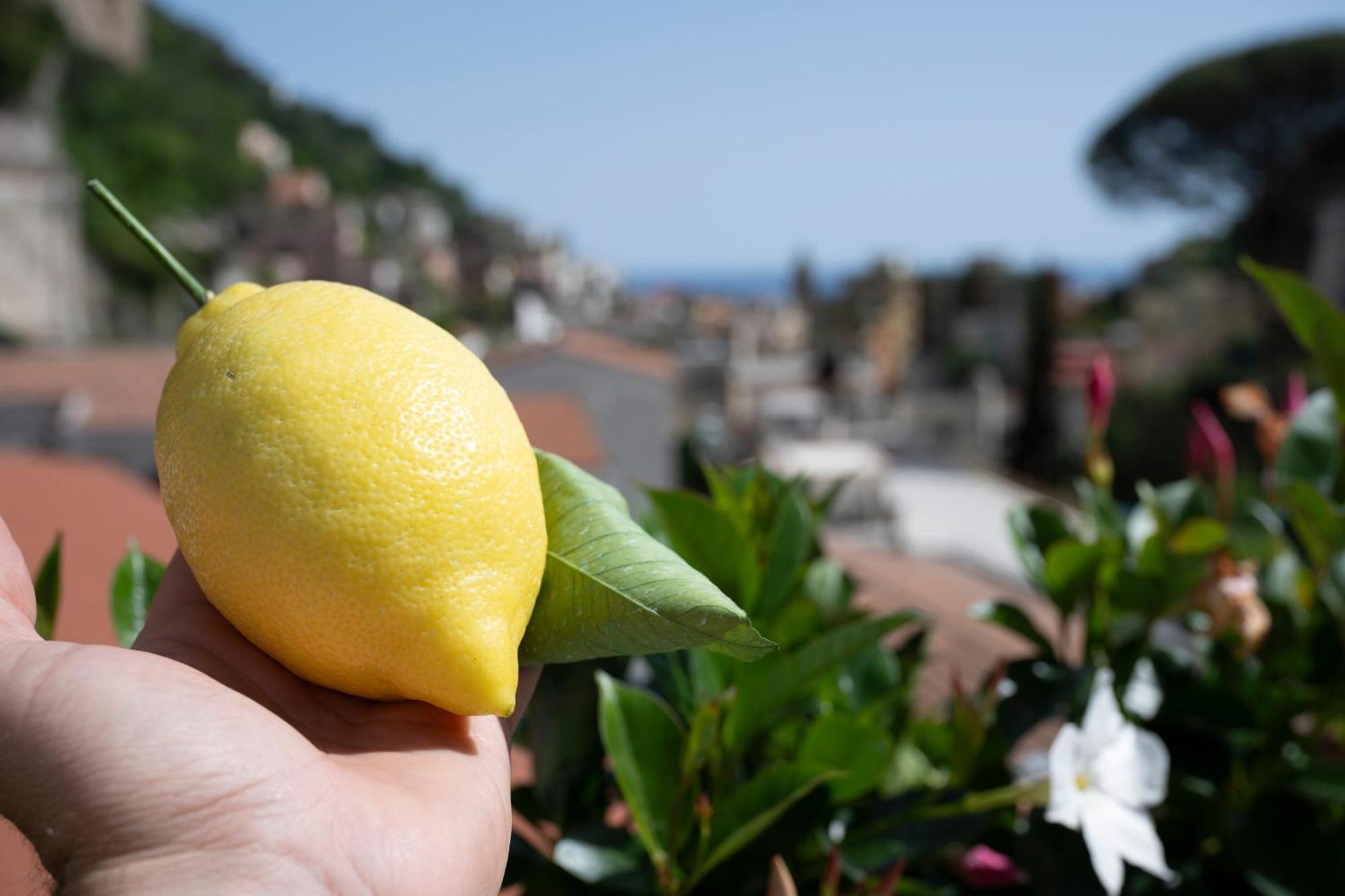 Valle D'Amalfi Suites Zewnętrze zdjęcie