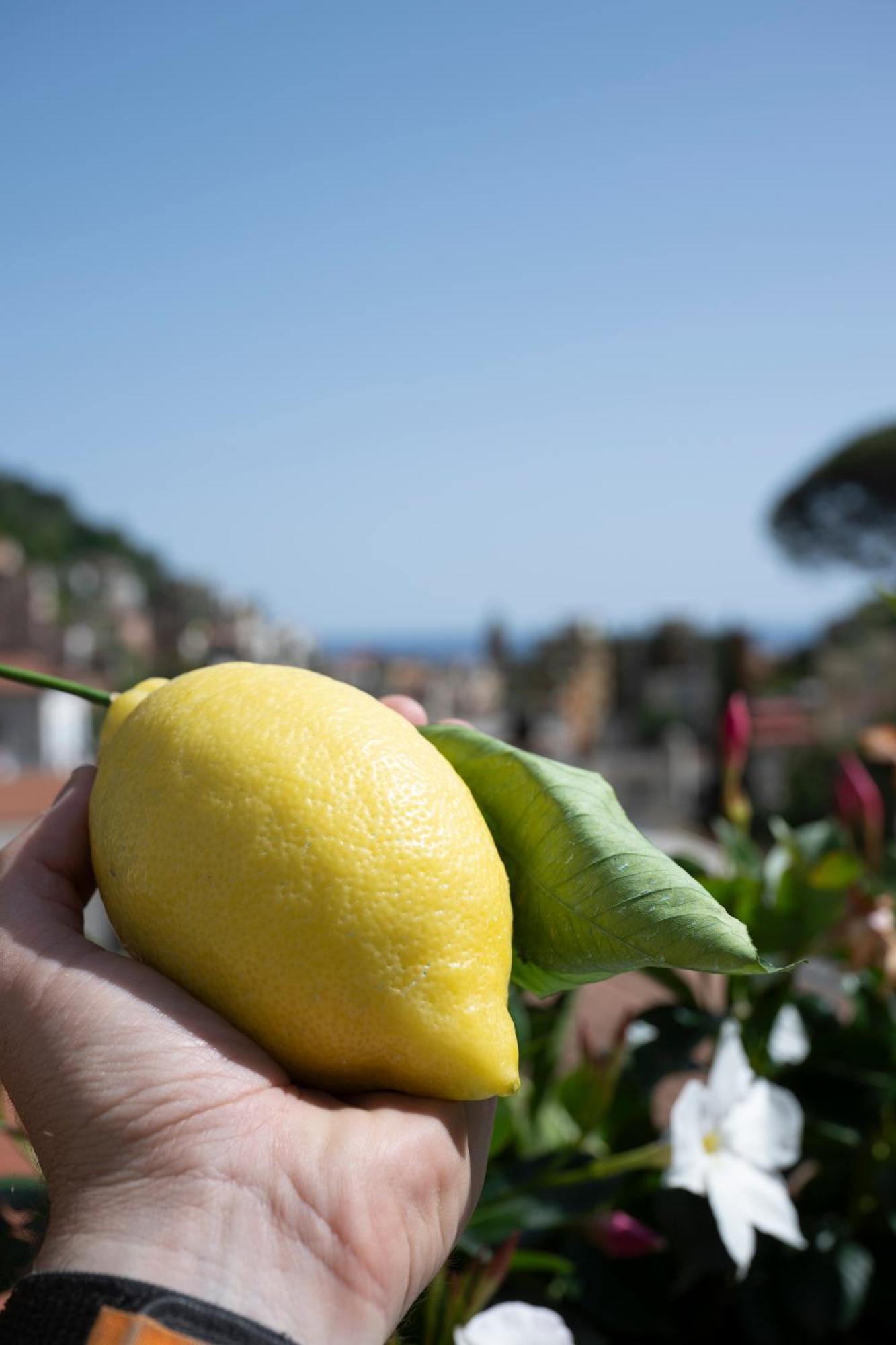 Valle D'Amalfi Suites Zewnętrze zdjęcie